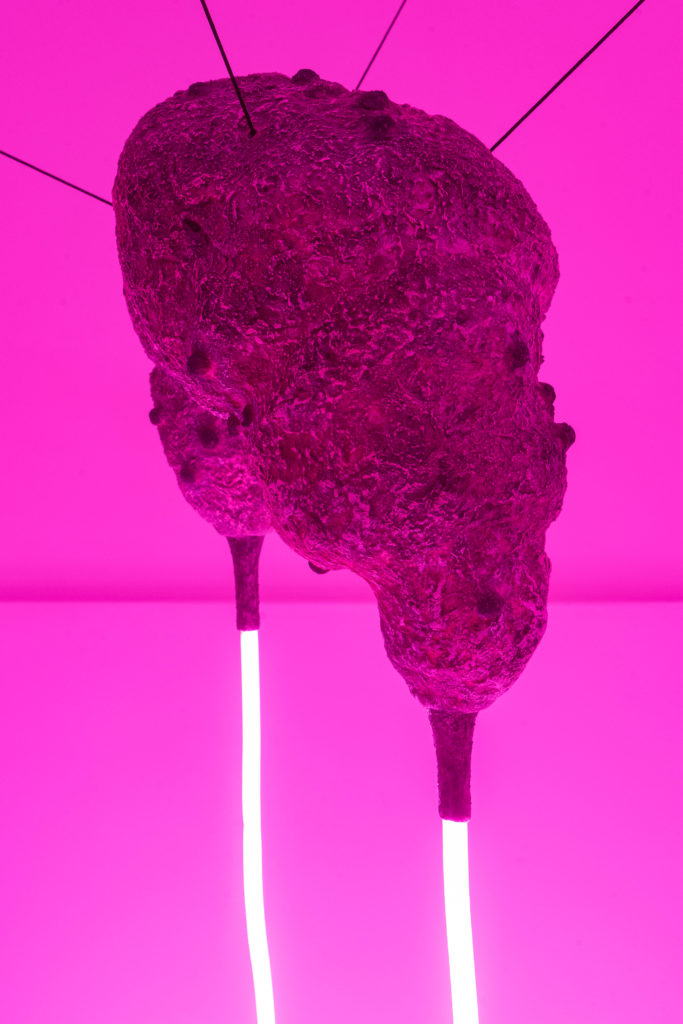 "You did love it so, you did love it like a son", 2019, Epoxy resin, polyurethane resin, polystirene, cellulose, alluminium, wires, acrylics, spray paint, flexible pink Led light (dettaglio) - Francesco Pacelli - courtesy of the artist 