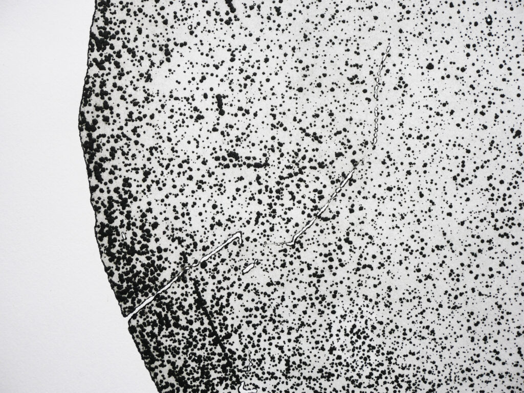Taiga (delle rocce e degli steli), 2018, acquaforte su alluminio, 70x100 cm (dettaglio) - Lucia Bonomo - courtesy of the artist
