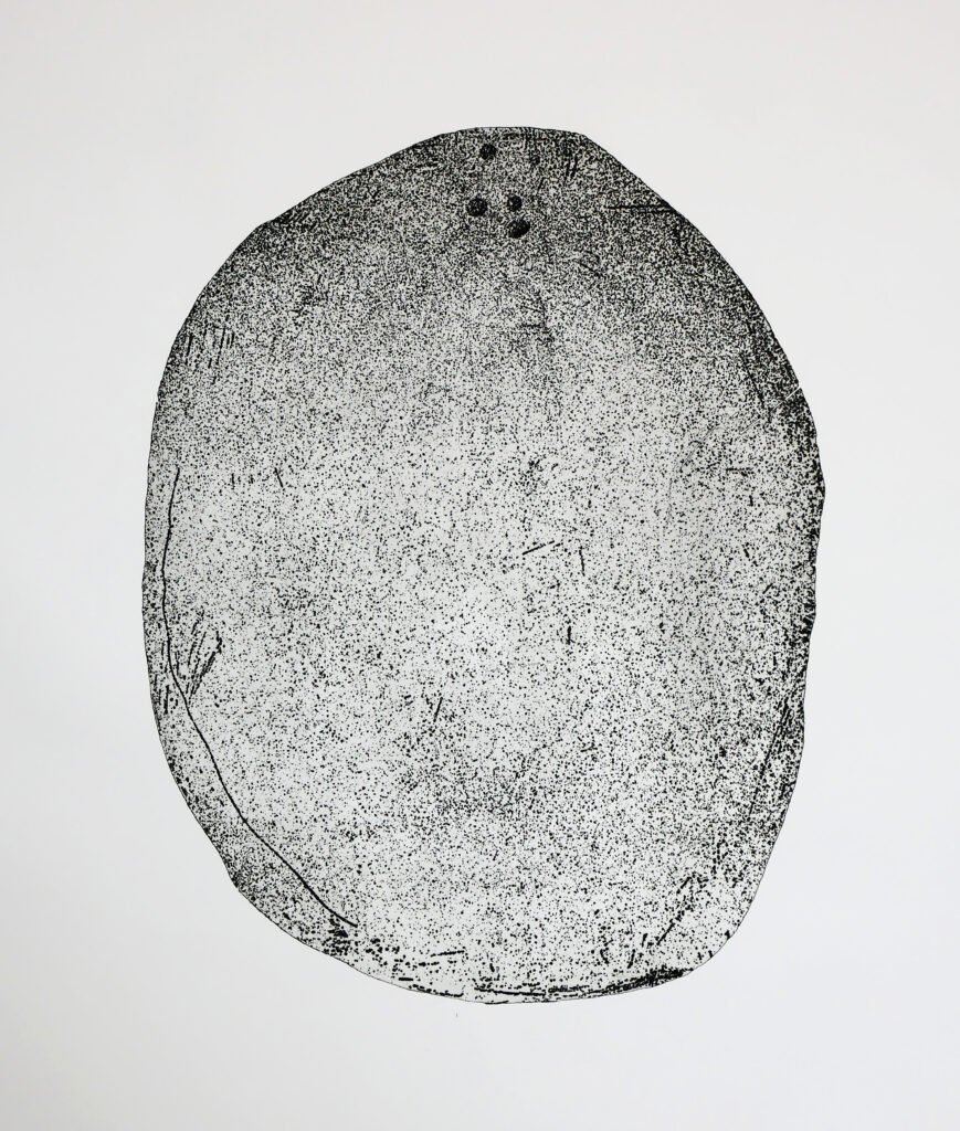 Taiga (delle rocce e degli steli), 2018, acquaforte su alluminio, 70x100 cm - Lucia Bonomo - courtesy of the artist 